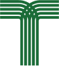 Toccoa Georgia Logo